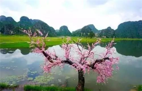 青丘-普者黑双动四天休闲游,观三生三世十里桃花,赏独特喀斯特地貌,品当地特色彝族“八大碗”,尝百味人生,参加民族篝火晚会,深度体验摸你黑刺激,住景区彝族特色客栈,亲身体验彝族当地的生活起居。 青丘-普者黑双动四天休闲游,观三生三世十里桃花,赏独特喀斯特地貌,品当地特色彝族“八大碗”,尝百味人生,参加民族篝火晚会,深度体验摸你黑刺激,住景区彝族特色客栈,亲身体验彝族当地的生活起居。