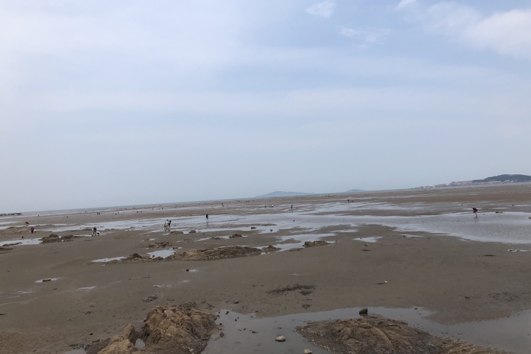 暑假去青岛旅游推荐——赶海拾贝+崂山仰口一日游(一家一团vip) 暑假去青岛旅游推荐——赶海拾贝+崂山仰口一日游(一家一团vip)