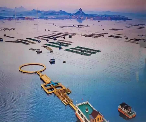 体验海洋牧场——桑沟湾海洋牧场、科技馆、登石岛赤山、凤凰湖二日游 体验海洋牧场——桑沟湾海洋牧场、科技馆、登石岛赤山、凤凰湖二日游