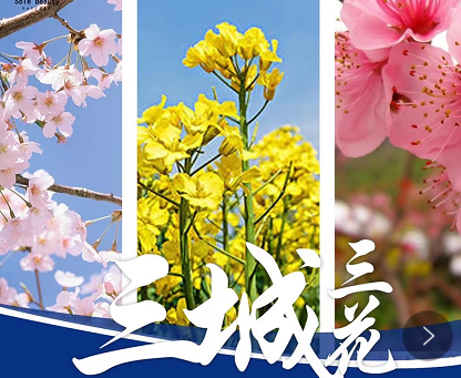 【揚州+南京連線】揚州瘦西湖+興化油菜花+南京玄武湖+夫子廟大巴純玩3日游 【揚州+南京連線】揚州瘦西湖+興化油菜花+南京玄武湖+夫子廟大巴純玩3日游
