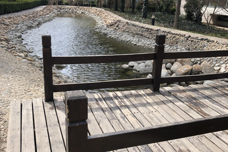 青島純玩深度3日游(團隊vip定制,一家一團) 青島純玩深度3日游(團隊vip定制,一家一團)