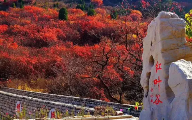 公司團建一日游推薦——臨朐關護山賞秋葉一日游 公司團建一日游推薦——臨朐關護山賞秋葉一日游