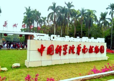 【研学游】"探秘净水过滤原理”华南植物园 【研学游】"探秘净水过滤原理”华南植物园