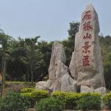 信宜石根山,旺同竹