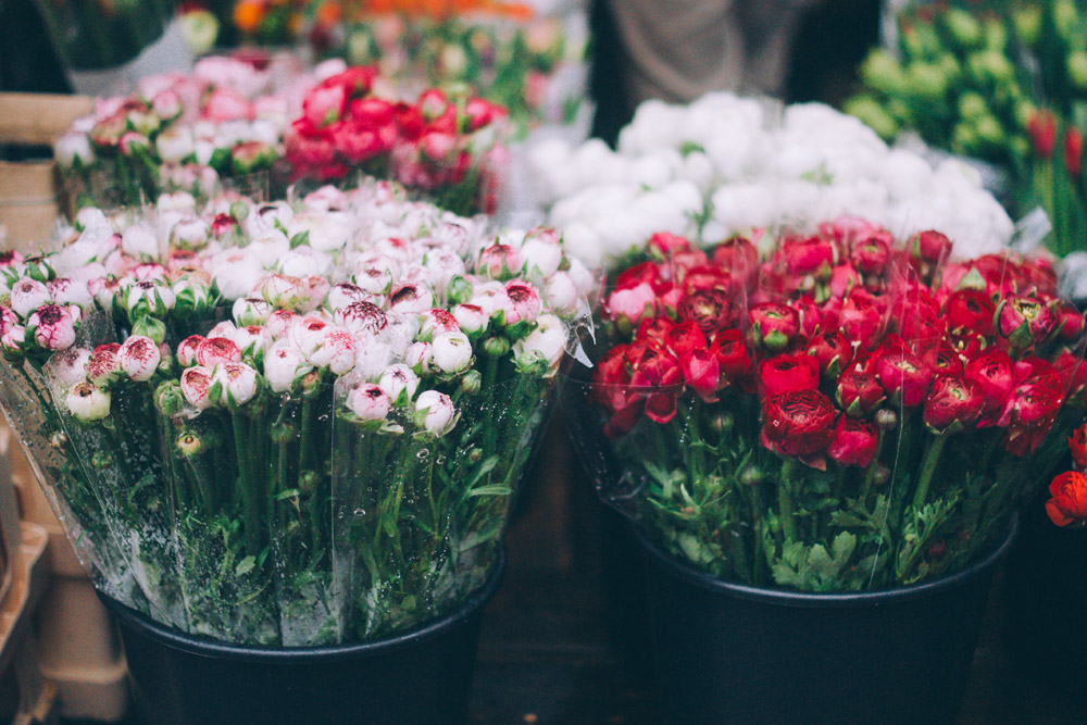 unsplash(花).jpg
