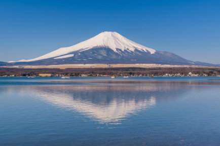 【春节日本-古韵和风】富士山,奈良梅花鹿,忍野八海,皇居,银座,东京